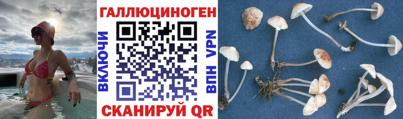 Галлюциногенные грибы мицелий  Кашира 