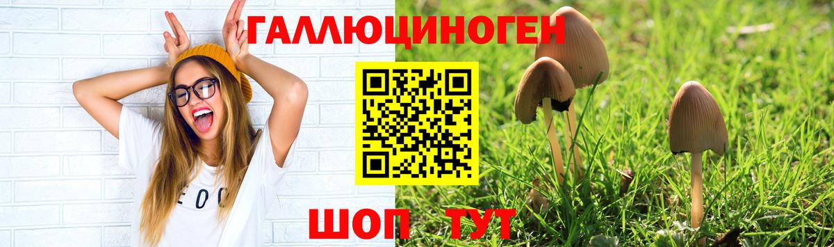 купить наркоту  Галлюциногенные грибы мицелий  Вход с VPN  Кашира  Галлюциногенные грибы Magic Shrooms 