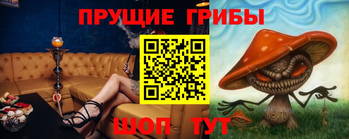 Галлюциногенные грибы Cubensis Кашира