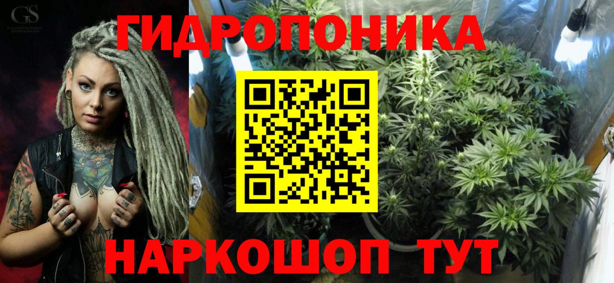 Кашира  Каннабис гибрид  Вход с VPN  Каннабис марихуана 